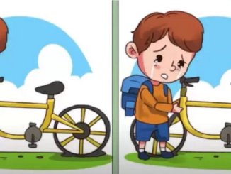 Chlapec a kolo dva obrazky