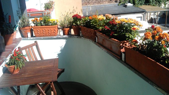 Jak si na podzim vyšňořit balkon či terasu