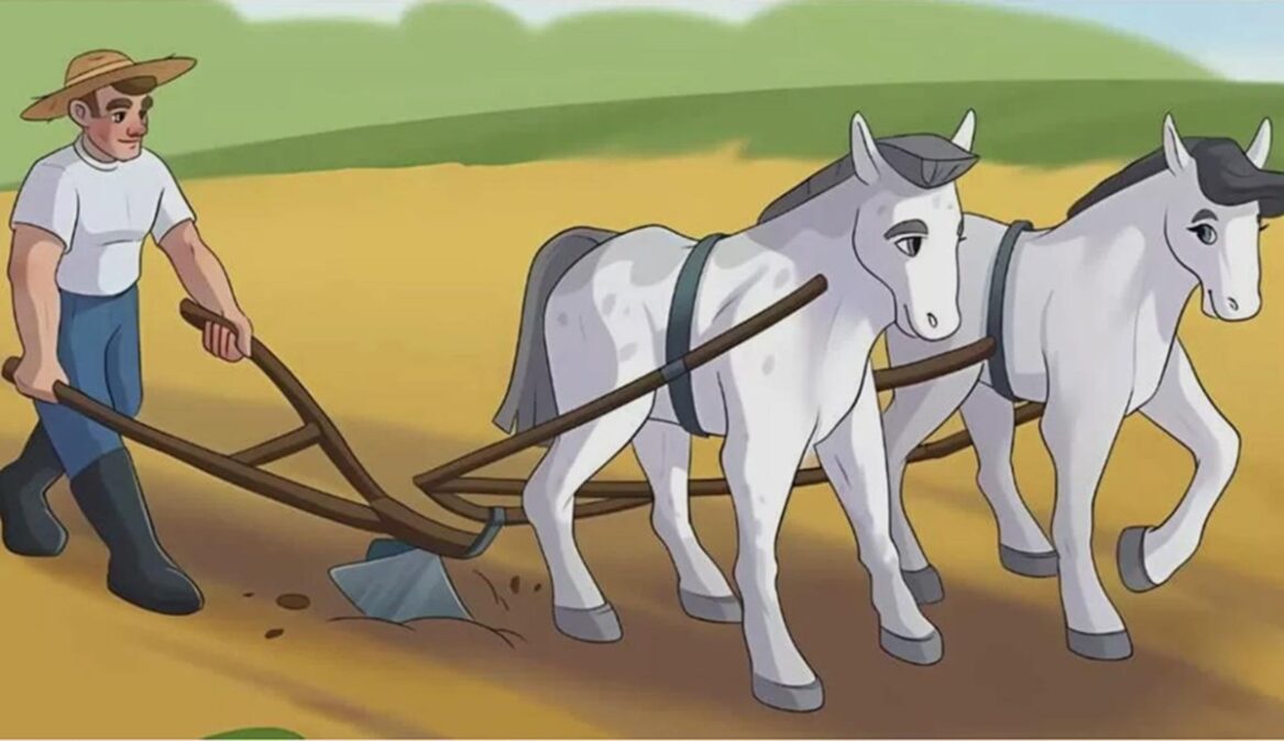 Obrázek k článku: Na první pohled „jen“ laskavá scenérie, na ten druhý ale zkouška pozornosti, která odhalí, jak rychle dokážete reagovat.