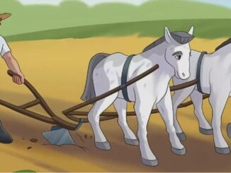 Obrázek k článku: Na první pohled „jen“ laskavá scenérie, na ten druhý ale zkouška pozornosti, která odhalí, jak rychle dokážete reagovat.