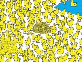 Obrázek k článku: Vizuální hádanka pro váš postřeh: Najdete do 36 vteřin schované kuřátko?