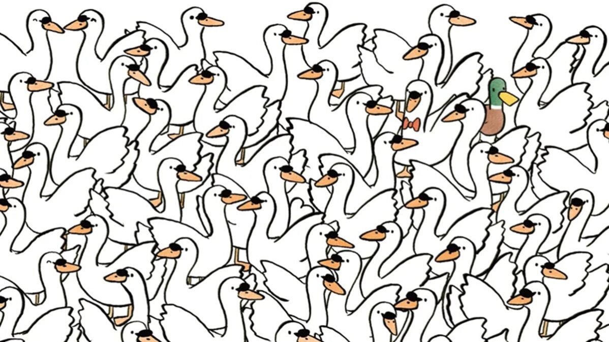 Obrázek k článku: Tento vizuální test prověří váš postřeh: Najdete do minuty mezi labutěmi tři srdce?