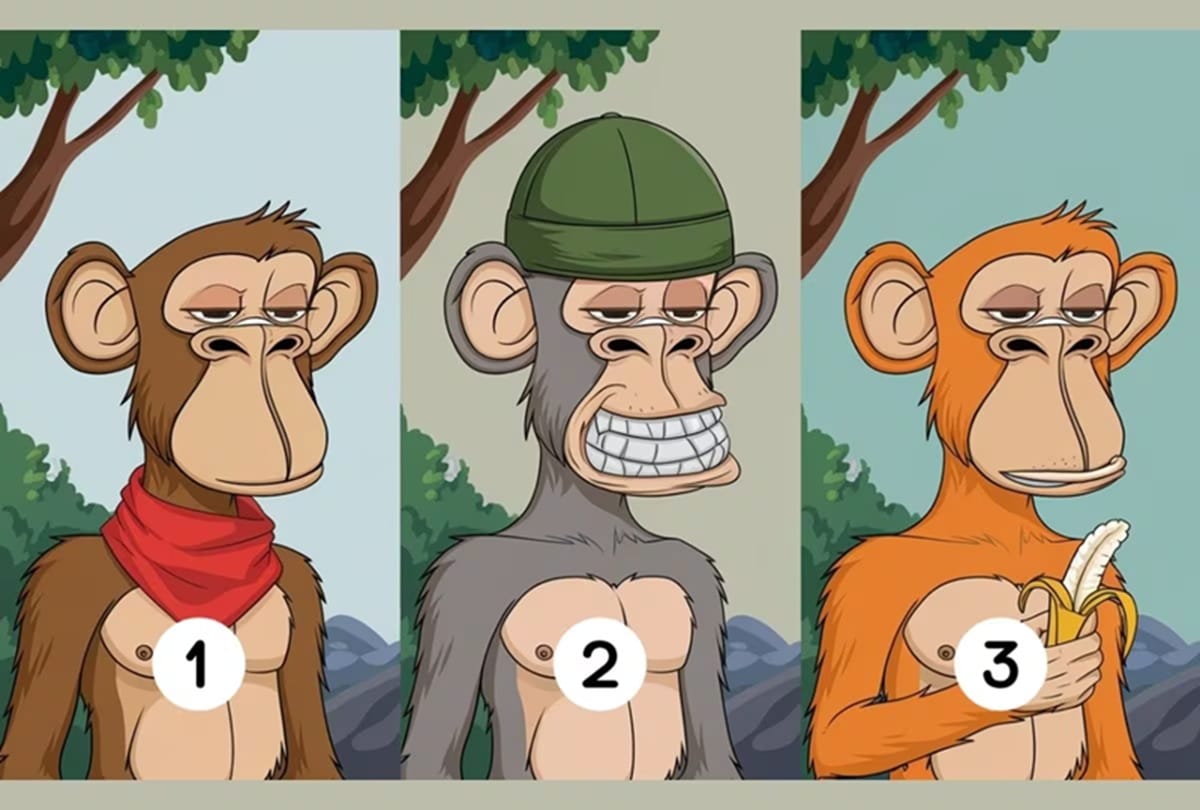 Obrázek k testu: Test talentu: Opice vám řeknou, co ve vás dřímá!