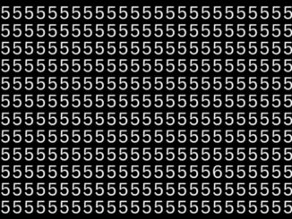 Obrázek k testu: Test pozornosti: Najdete do 25 vteřin šestku v záplavě pětek?