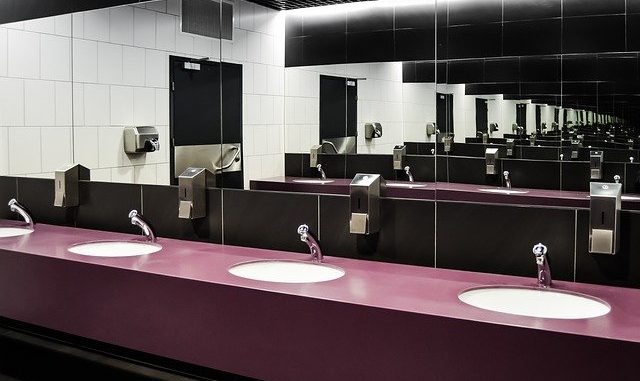 Pro každou ženu, která je nucená použít veřejné záchodky – je zde dokonalý průvodce
