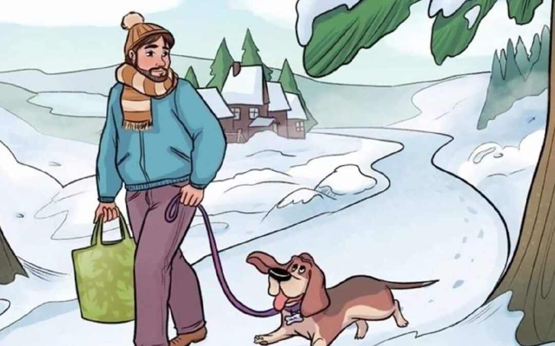 Obrázek k článku: Zasněžený IQ test prověří vaši pozornost: Najdete chybu v časovém limitu 11 vteřin?