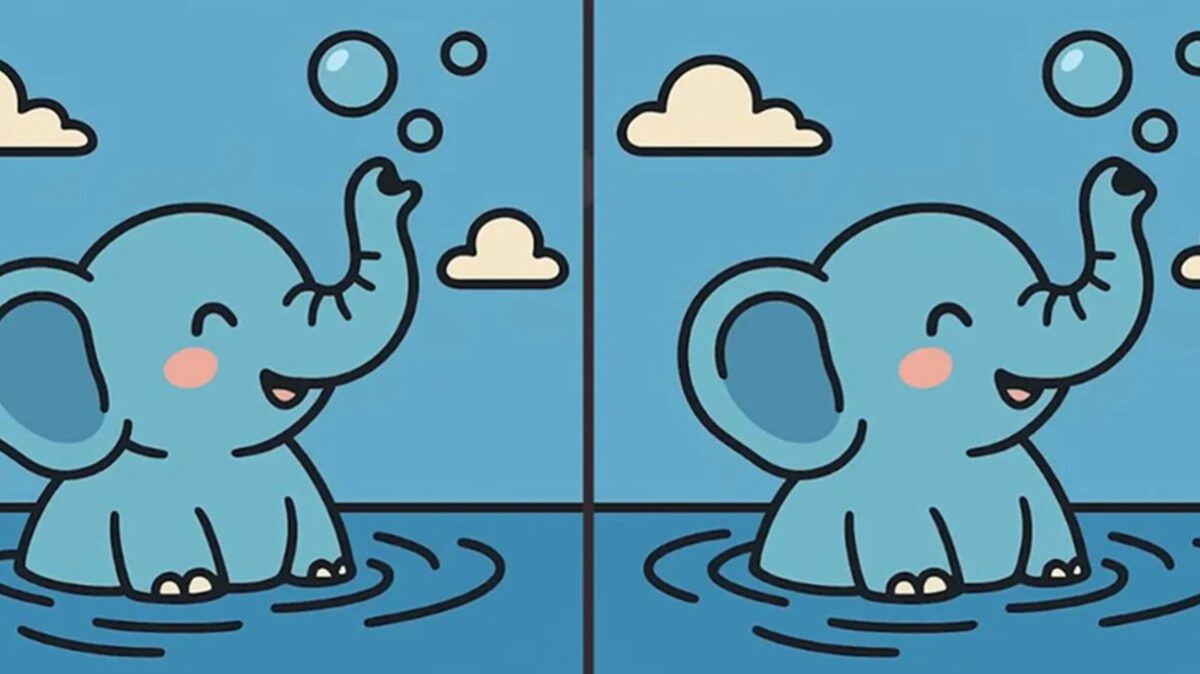 Obrázek k článku: Najdete 3 rozdíly u slona užívajícího si koupel? Máte na to pouhých 23 vteřin!