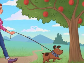 Srdíčkový test dívka se psem