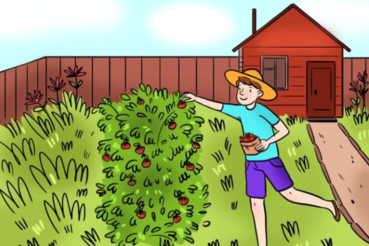Obrázek k článku: Najdete chybu v obrázku chlapce sbírajícího jahody? Máte na to 59 sekund!