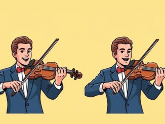 Obrázek k testu: Houslista a tři rozdíly: Najdete je do 37 sekund?