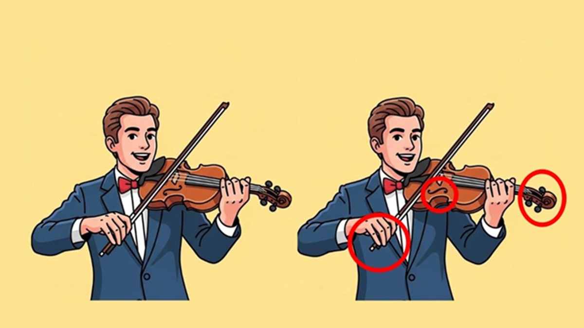 Obrázek k testu: Houslista a tři rozdíly: Najdete je do 37 sekund?