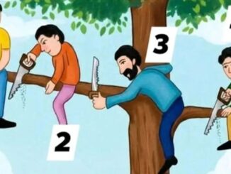 Obrázek k článku: Test logiky: Poznáte do 7 vteřin, kdo je v bezpečí?