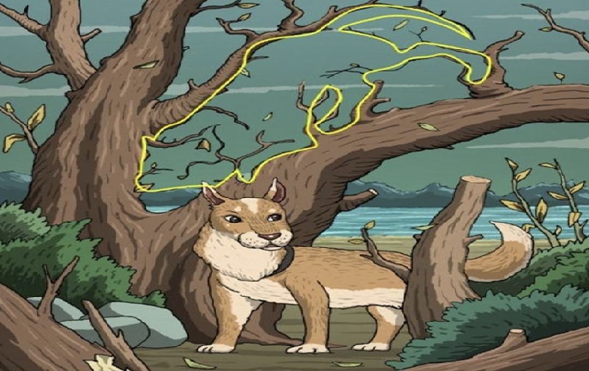 Test s kočkou s nápovědou