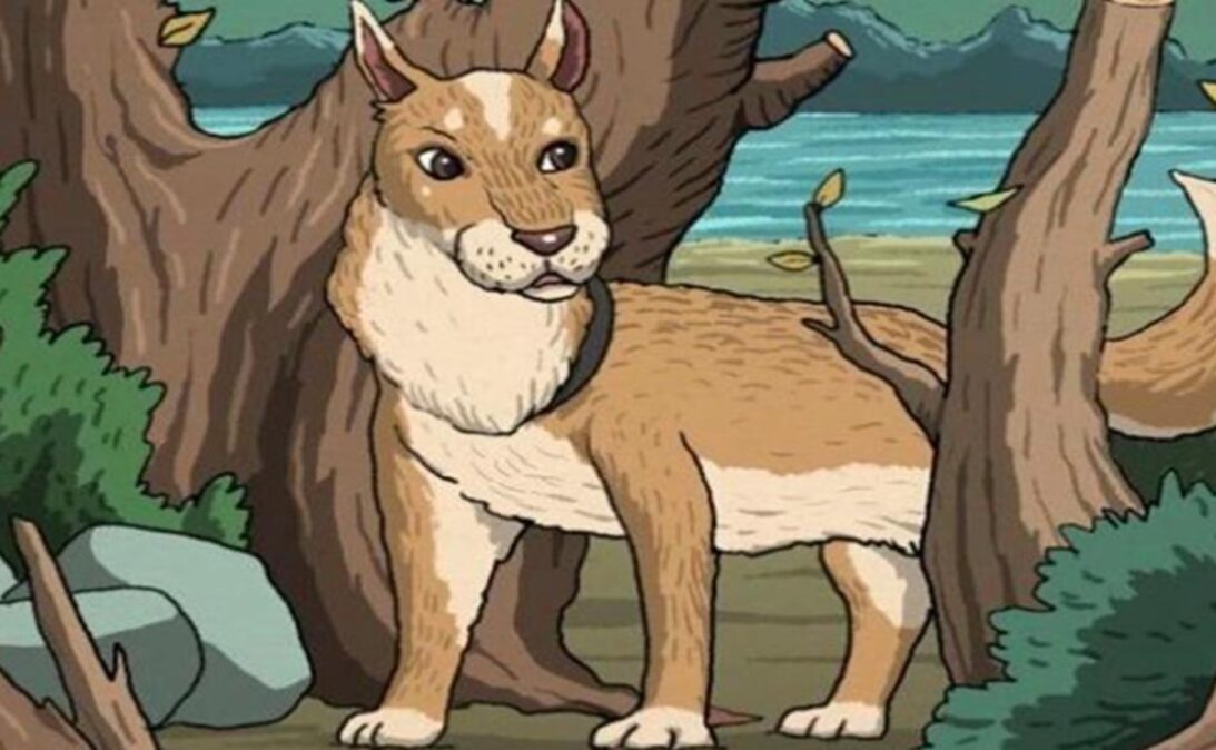 Test s kočkou samotný pes