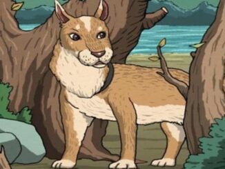 Test s kočkou samotný pes