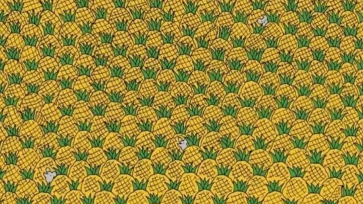 ananas-mysi-kukurice Hlavolam s ananasem a kukuřicí