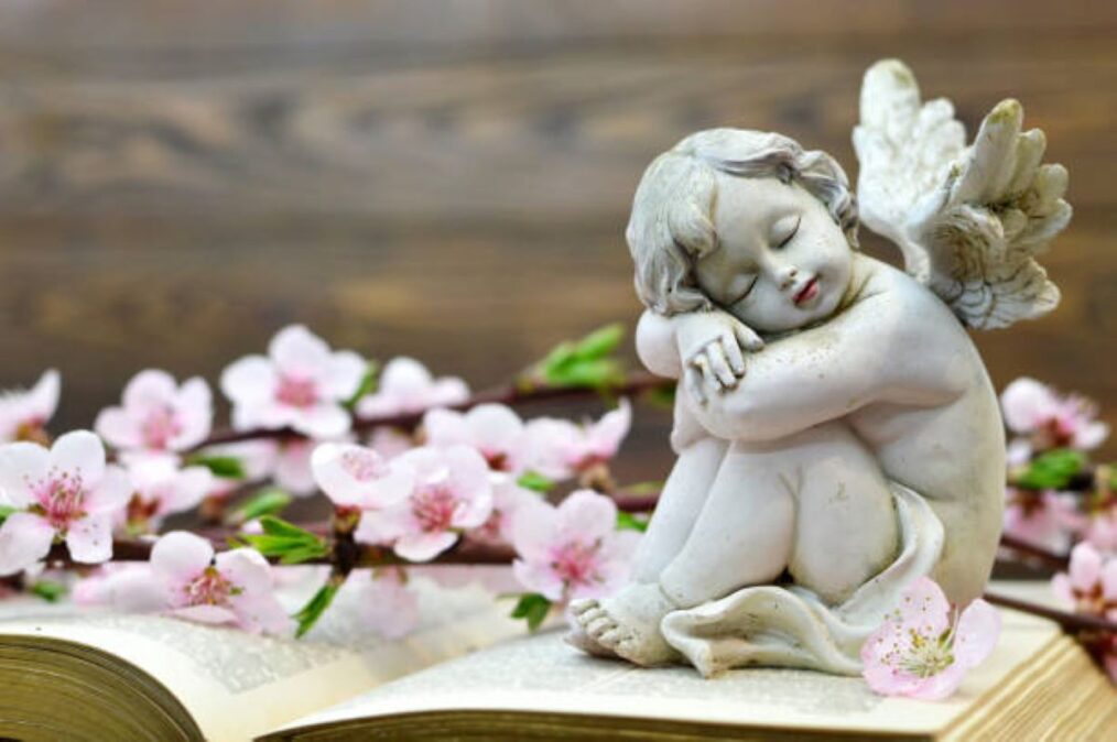 anděl kniha květiny