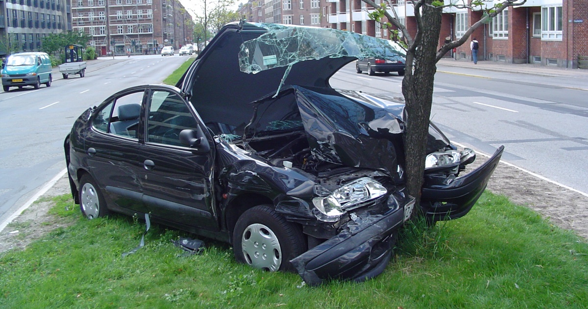 autonehoda