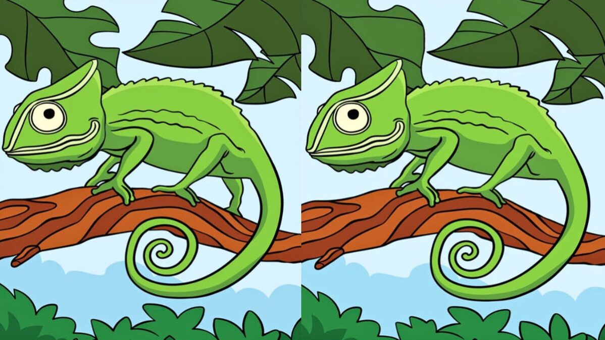 Chameleon, rozdíly