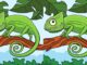 Chameleon, rozdíly