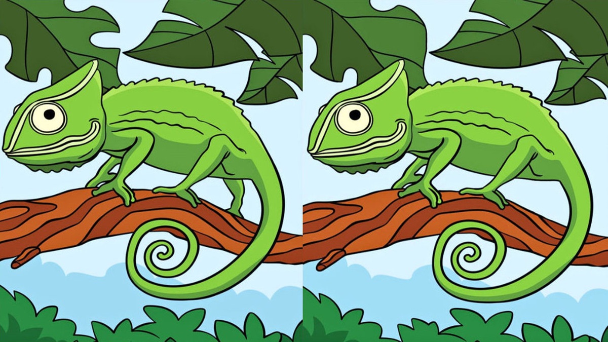 Chameleon, rozdíly