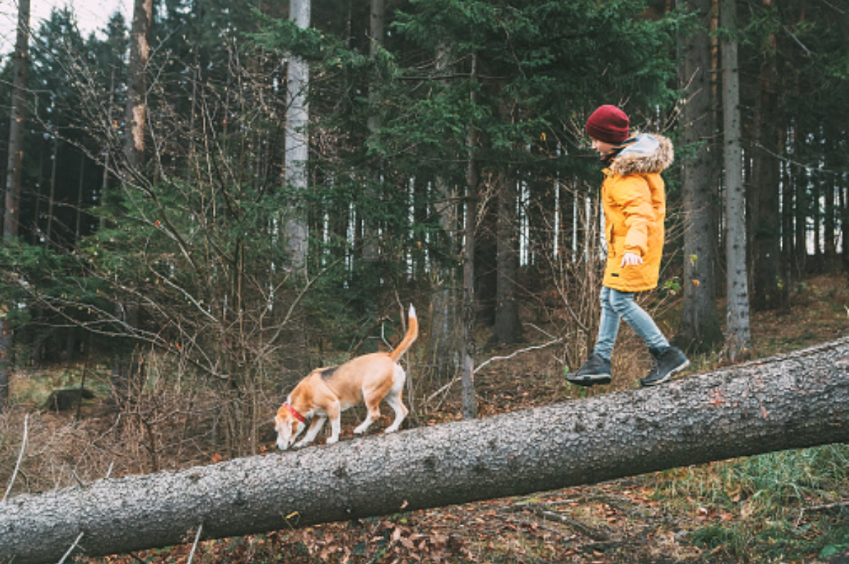 Chlapec se psem v lese
