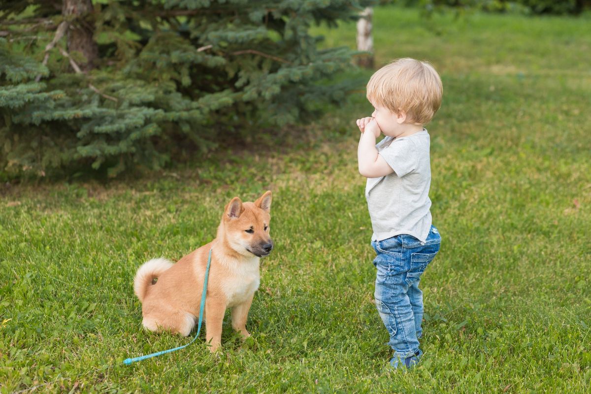 chlapec a štěně