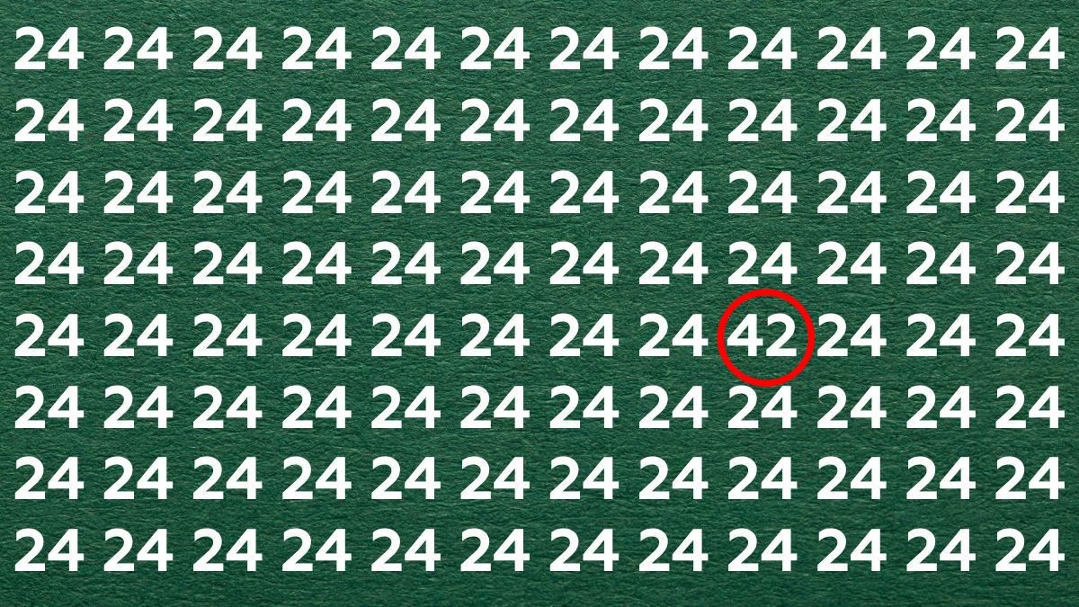 Číslo 42, řešení