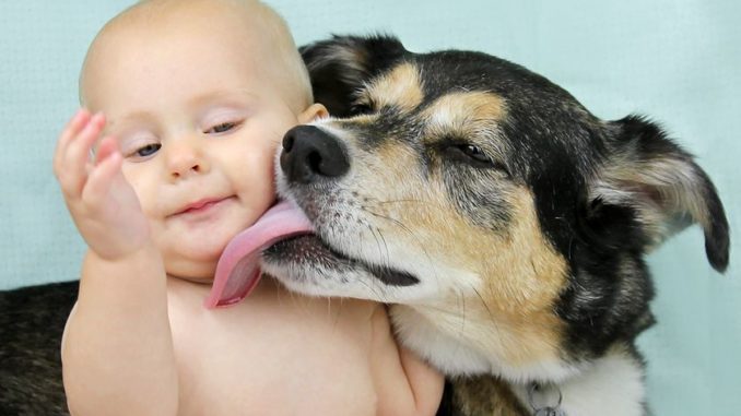 dog-licks-baby-cheek.jpg.838x0_q80