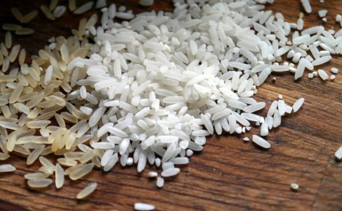 druhy rýže
