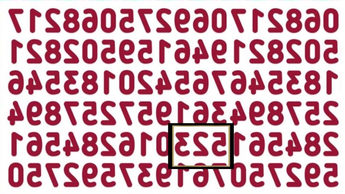 Hádanka se skrytým číslem