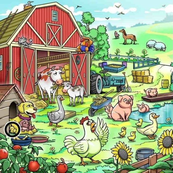 Hádanka: najdete ztracené kuřátko?