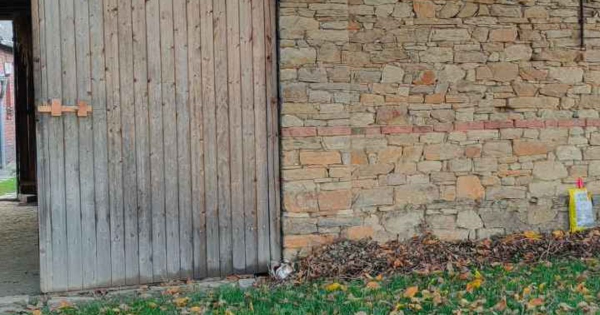 Hádanka s kočkou a zdí