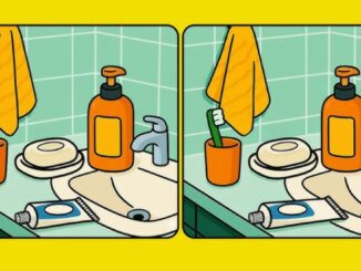 Hádanka: tři rozdíly v koupelně