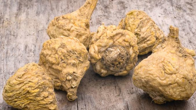 maca, řeřicha peruánská