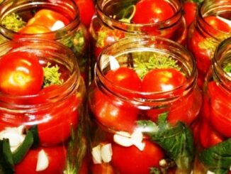 nakládaná rajčata