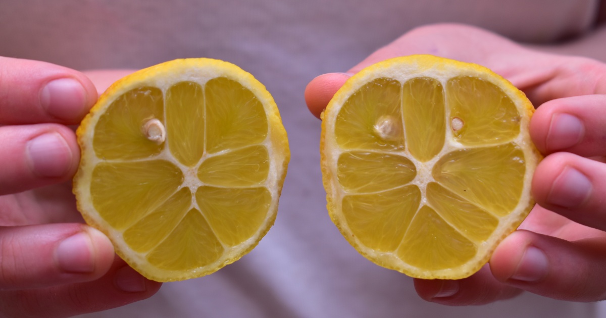 nakrajeny-citron