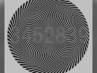 optická iluze číslo