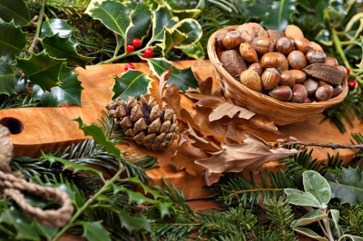 ořechy-dekorace