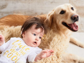 pes s malou holčičkou