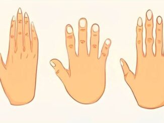 pět typů rukou