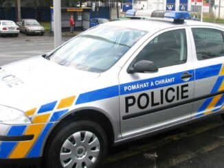 Policejní auto