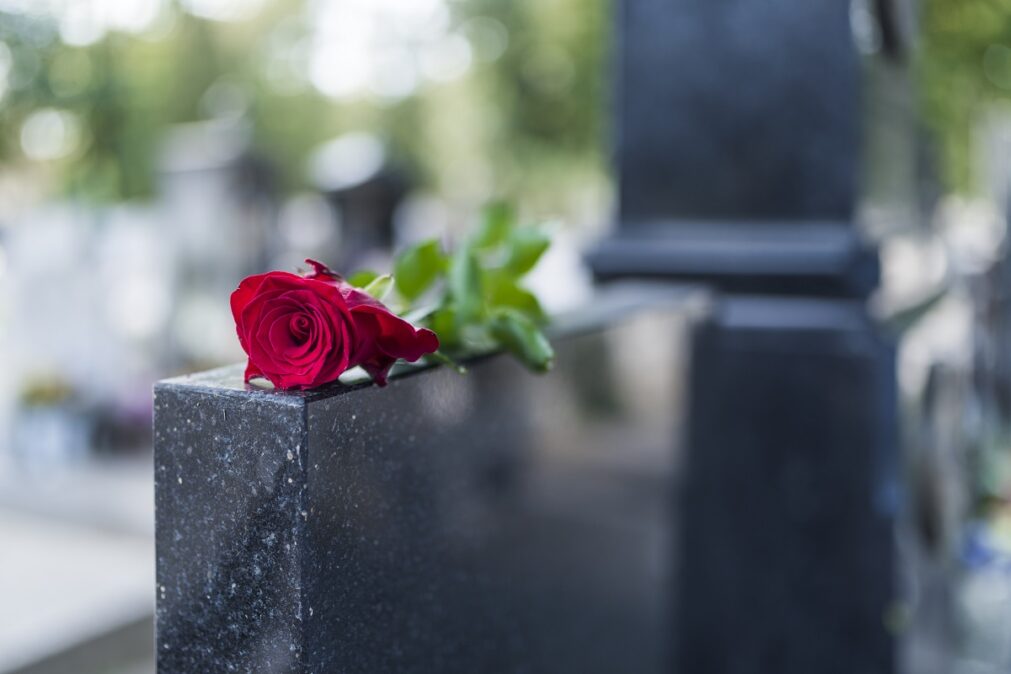růže na hrobu
