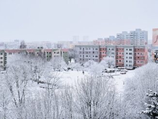 Sníh