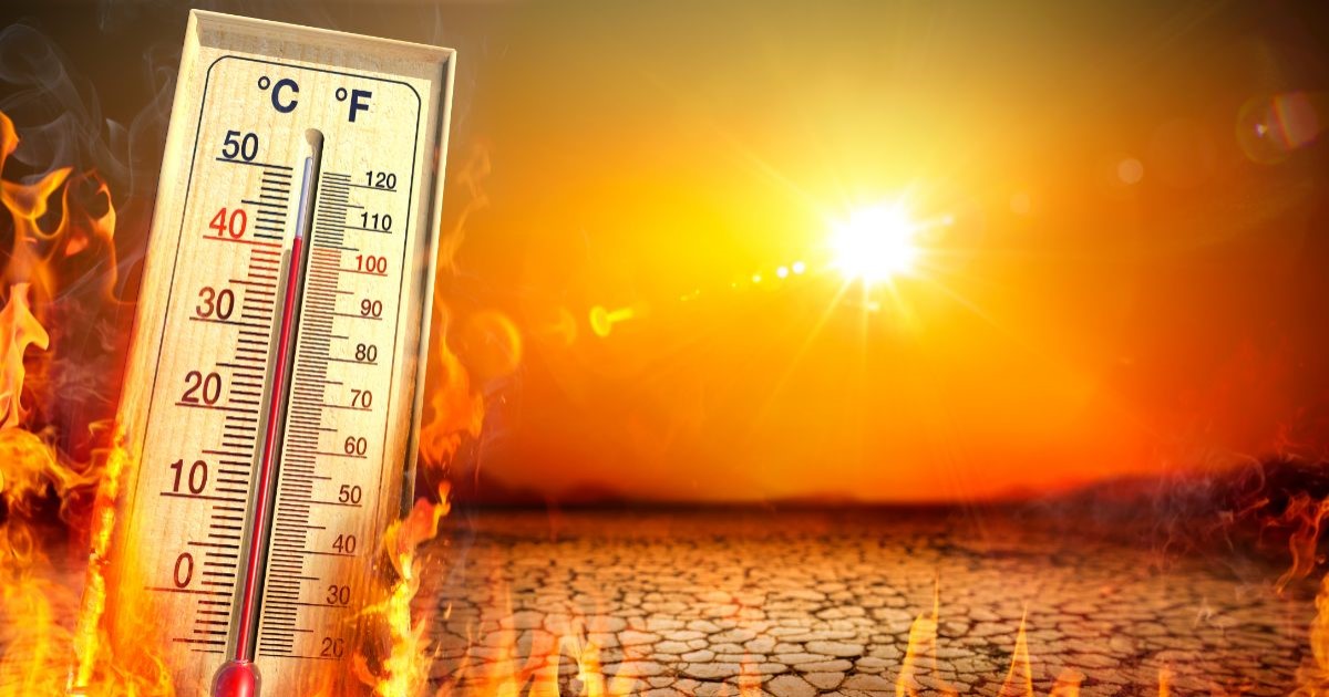 Léto ukazuje svou sílu: Čeká nás vlna veder