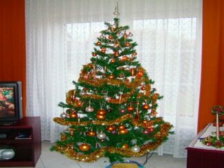 Vánoční stromek