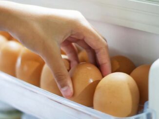 vejce lednice