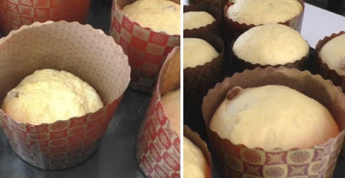 výroba muffinů